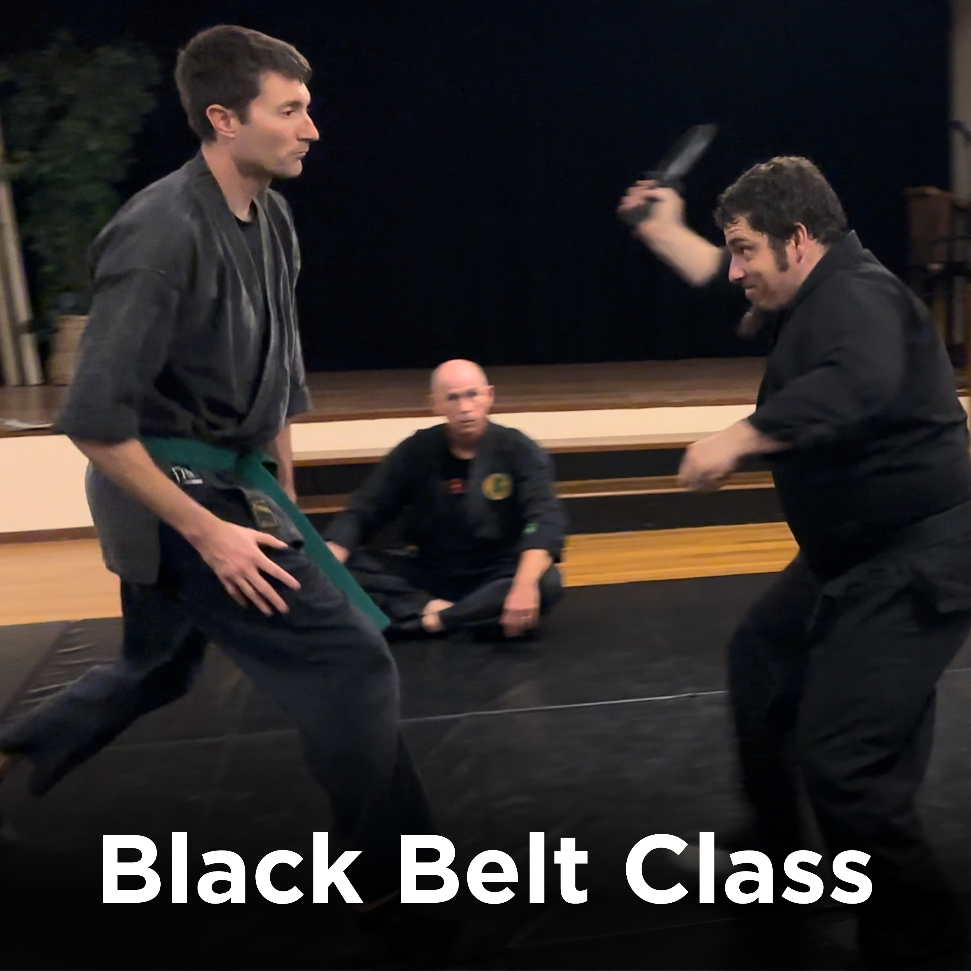 Black Belt classes
